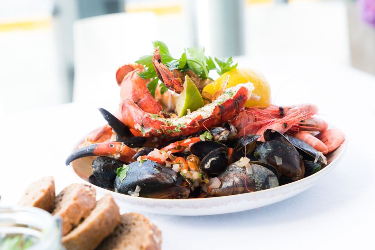 Peixe e Marisco Congelado